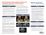Second Trimester Uterine Rupture with Abnormal Vascularity of the Lower Uterine Segment