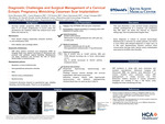 Diagnostic Challenges and Surgical Management of a Cervical Ectopic Pregnancy Mimicking Cesarean Scar Implantation by Xena Morataya, Laura Reguero, Uti Essien, Stacy Sassaman, and Jorge Venegas