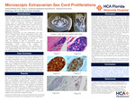 Microscopic Extraovarian Sex Cord Proliferations