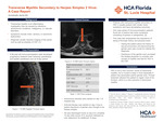 Transverse Myelitis Secondary to Herpes Simplex 2 Virus: A Case Report by Karla Arredondo