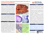 A Case of Chronic Appendiceal Intussusception Secondary to Unsuspected Endometriosis by Matthew Lee and Susana Ferra