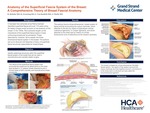 Anatomy of the Superficial Fascia System of the Breast: A Comprehensive Theory of Breast Fascial Anatomy by R Rehnke, Rachel Groening, E Van Buskirk, and J Clarke