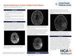 Stroke Chameleon: A Case of High Grade Glioma by Zachary T. Lowery and Mary M. Carter