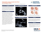 Endocarditis causing Complete Heart Block and Cardiogenic Shock by Ish Patel, Jacob M. Keesee, Brenden Pearce, Sarah Barnhardt, and Mohamed Faris