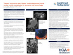 Trapped Beyond the Wall: Gastric Outlet Obstruction from a Ventral Hernia, Complicated by Ischemia and Hemorrhage