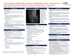 Postcryoablation endometritis secondary to Peptoniphilus harei, a rare bacterium associated with bacterial vaginosis, leading to septic shock: A case report