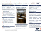 A Frozen Shoulder Thawed: Substantial Improvement After Ultrasound‑Guided Suprascapular Nerve Injection