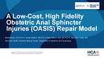 A Low-Cost, High Fidelity Obstetric Anal Sphincter Injuries (OASIS) Repair Model