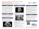 Hyperechoic Amniotic Fluid in the Setting of Fetal Bowel Distention and Echogenicity